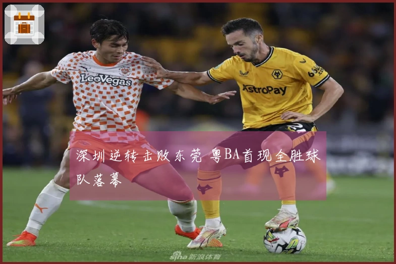 深圳逆转击败东莞 粤BA首现全胜球队落幕